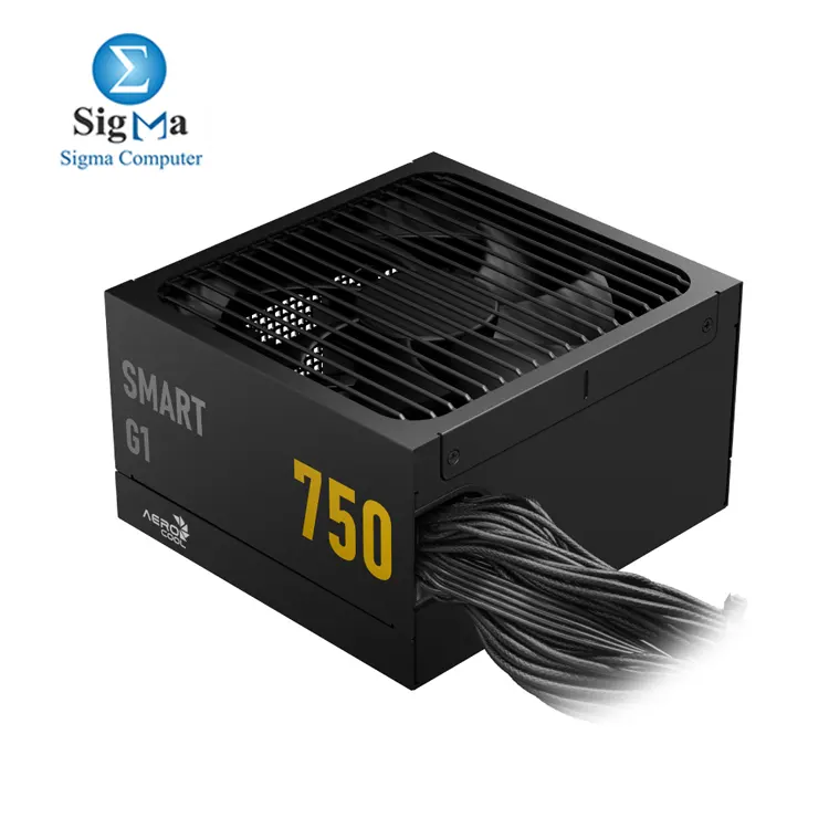 Aerocool SMART G1 750W 80+GOLD ATX 3.1 Gen 5.1 Non Modular POWER SUPPLY