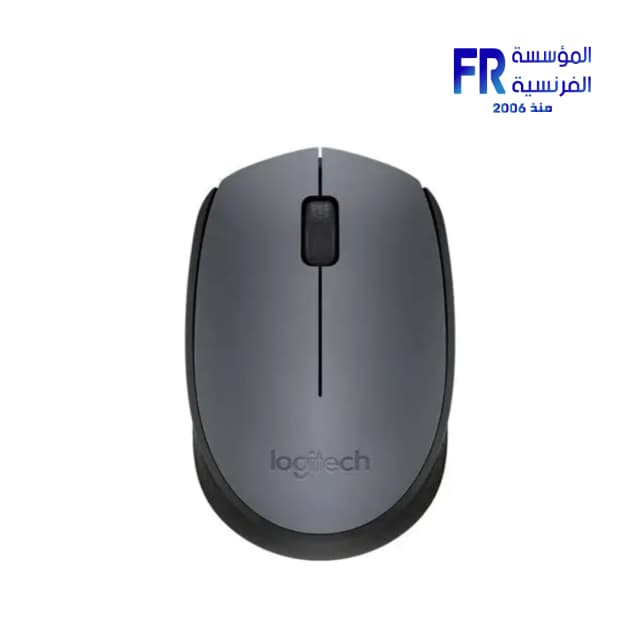 Logitech M170 Grey Wireless Mouse